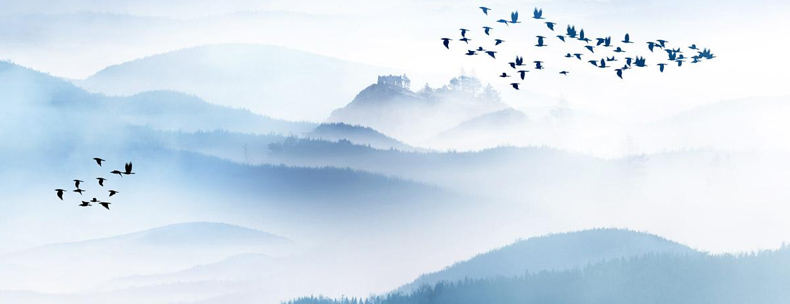 1556084084303324.jpg 790高升专.jpg